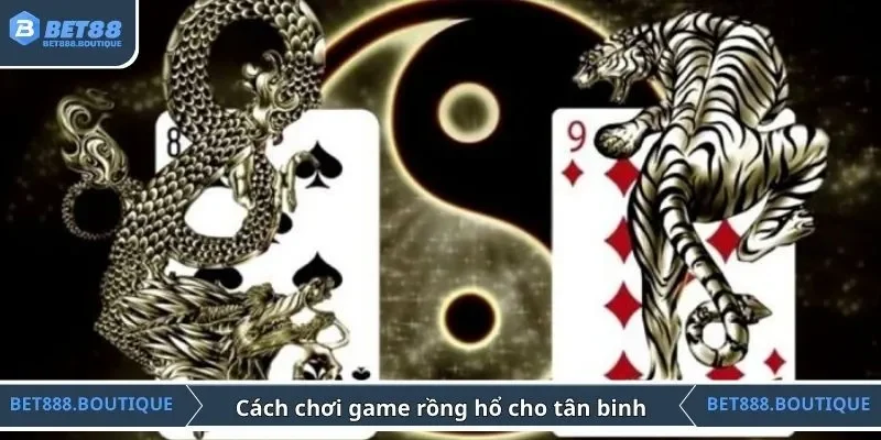 Cách chơi game rồng hổ cho tân binh