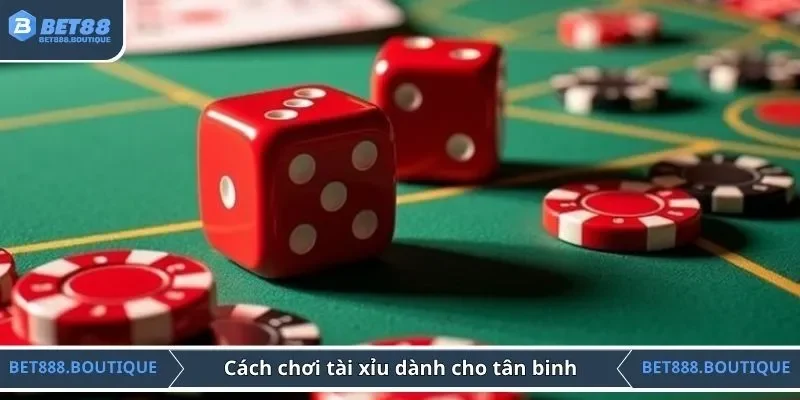 Cách chơi tài xỉu từ A đến Ă dành cho tân binh