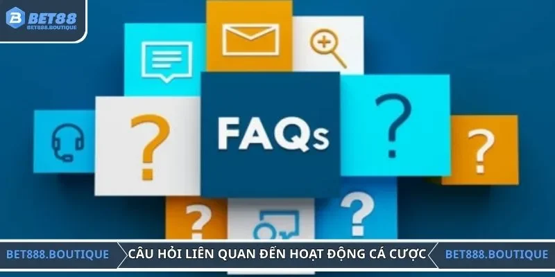Câu hỏi liên quan đến hoạt động đánh cược