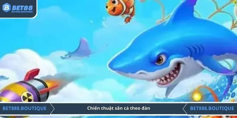 Chiến thuật săn cá theo đàn