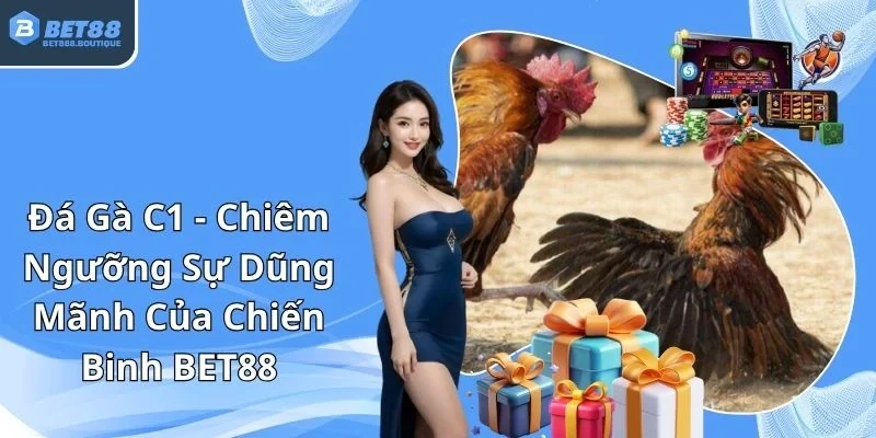 Đá gà C1