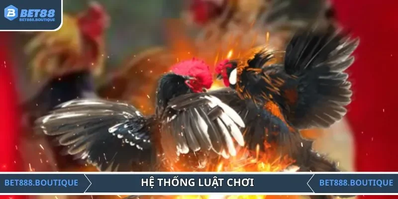 Hệ thống luật chơi khi tham gia đá gà Campuchia