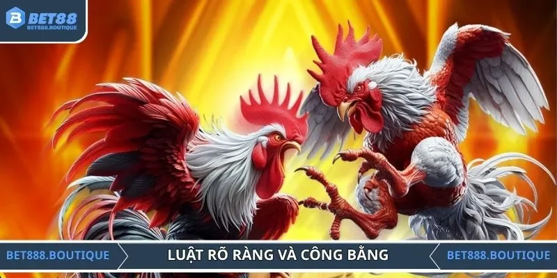 Thi đấu có trọng tài, luật rõ ràng và công bằng