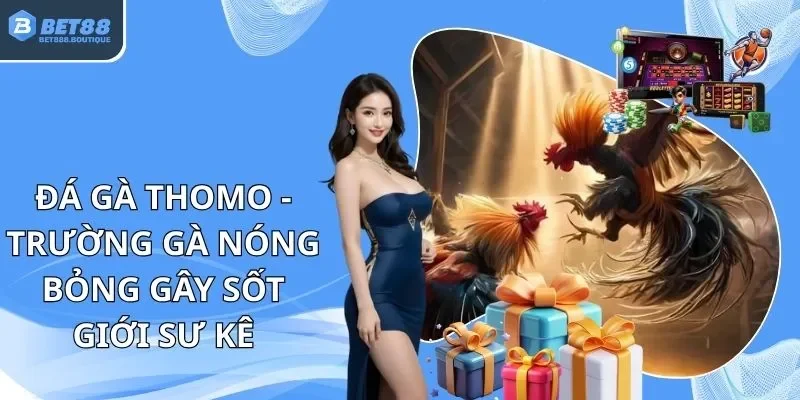 đá gà Thomo