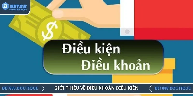 Giới thiệu về điều khoản điều kiện cho tân thủ nắm bắt