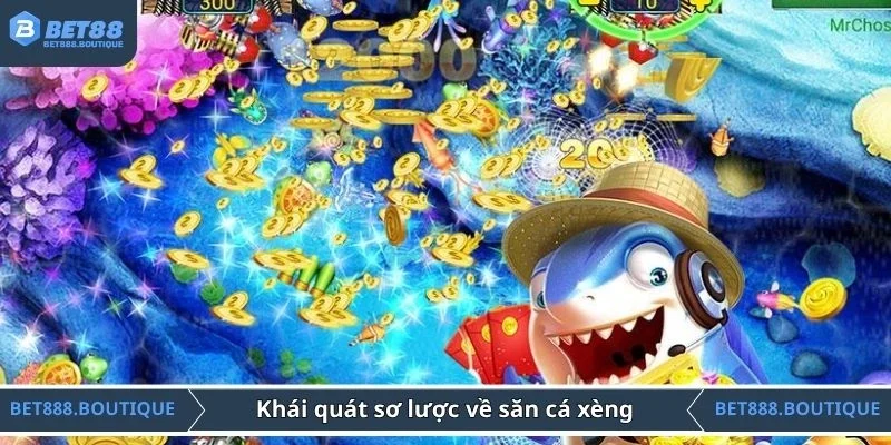 Khái quát sơ lược về sảnh cá xèng
