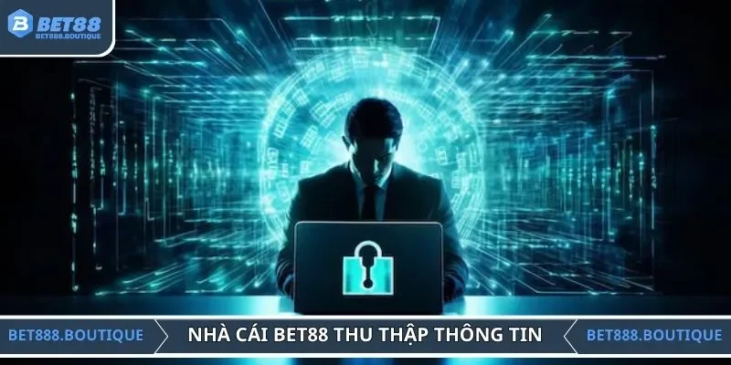 Nhà cái thu thập thông tin