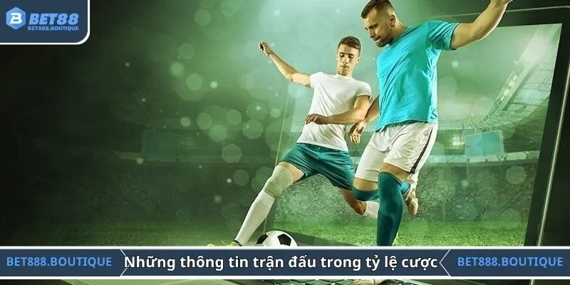 Những thông tin trong trận đấu khi tìm hiểu tỷ lệ cược