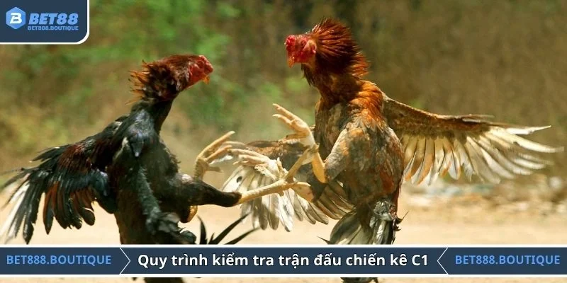 Quy trình kiểm tra trước trận đấu chiến kê C1