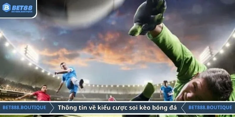 Thông tin về kiểu cược soi kèo bóng đá