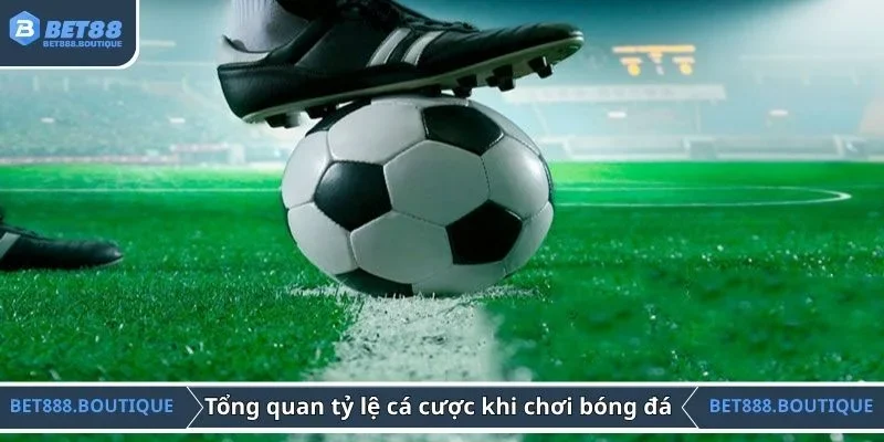 Tổng quan về tỷ lệ cá cược khi chơi bóng đá